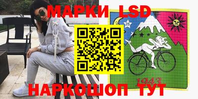 крисы Краснодар