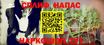 крисы Краснодар