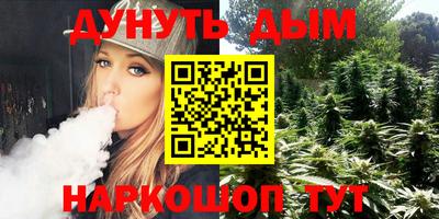крисы Краснодар