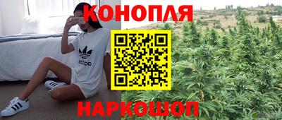 эйфоретик Краснокаменск