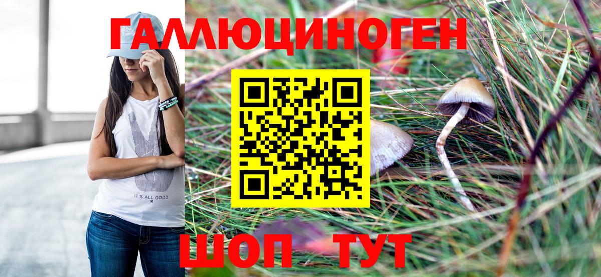 Балтийск  Галлюциногенные грибы Psilocybine cubensis  Галлюциногенные грибы Psilocybe  наркотики  Вход с VPN 