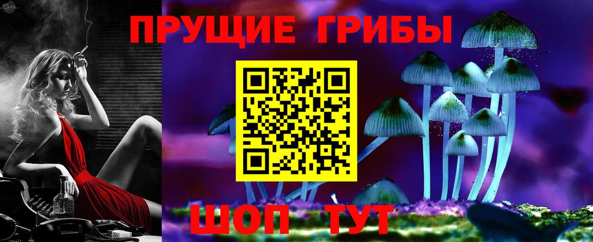 Псилоцибиновые грибы ЛСД Балтийск